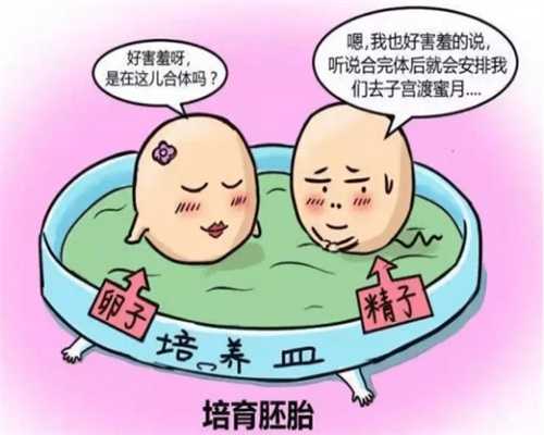 杭州捐卵正常价格，杭州三代试管供卵包成功（杭州捐卵供卵哪里有）