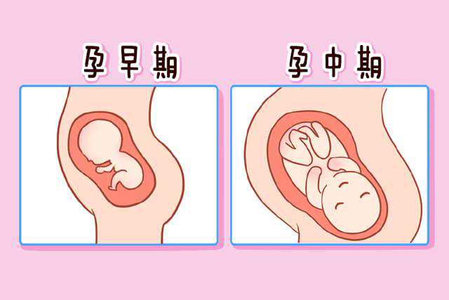 杭州供卵试管助孕机构靠谱吗